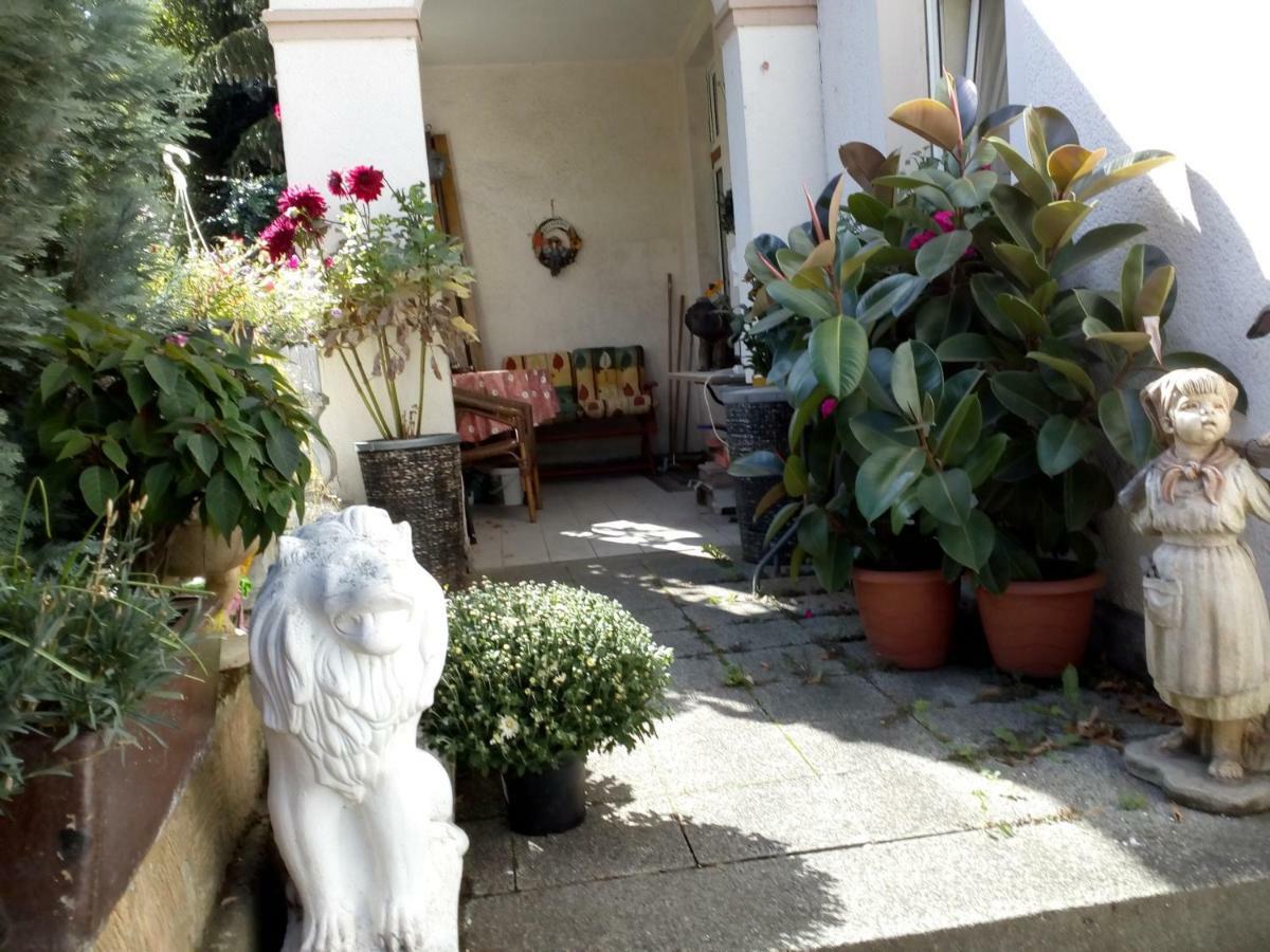Dach-Studio-Runkel Schadecker Strasse 6 エクステリア 写真